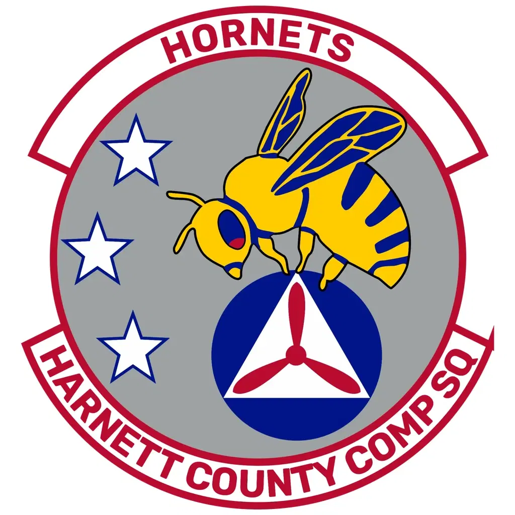 Hornets logo, Harnett County Composite Squadron